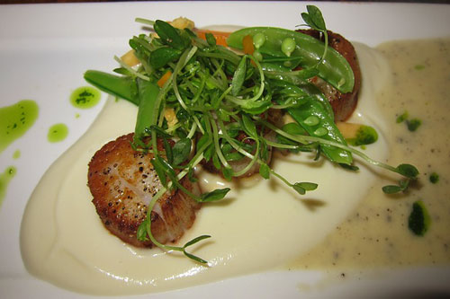 scallops